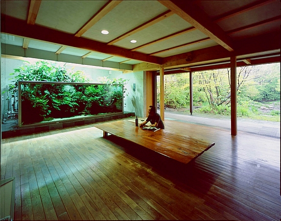 9000 litrové akvárium v obývačke Takashi Amana